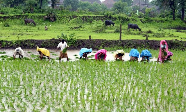 massive changes in agricultural practice