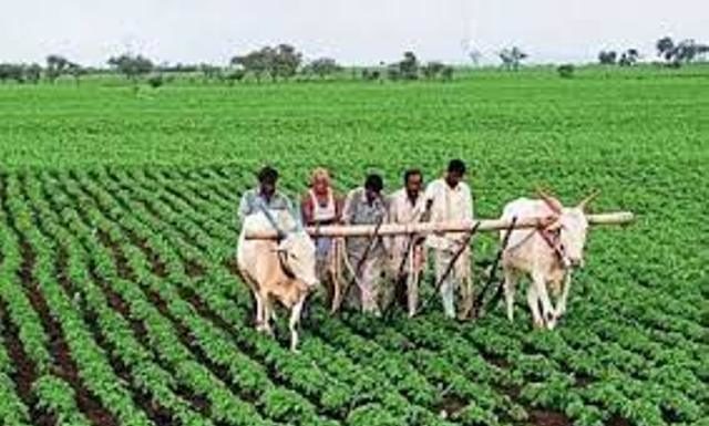 ಬೆಳೆ ಪರಿವರ್ತಿಸಿ ಚಮತ್ಕಾರ ಗಮನಿಸಿ