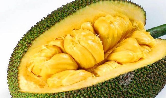 ಹಲಸು ಮೌಲ್ಯವರ್ಧನೆಯಲ್ಲಿ ಕೇರಳ ಸಾಧನೆ ಮಾದರಿ!