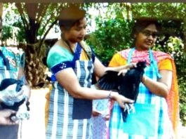 ಕಡಕನಾಥ್ ಕೋಳಿ ಸಾಕಣೆ ತಂದ ಯಶಸ್ಸು