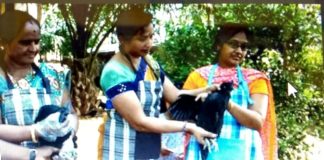ಕಡಕನಾಥ್ ಕೋಳಿ ಸಾಕಣೆ ತಂದ ಯಶಸ್ಸು