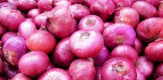ಆಪರೇಷನ್ ಗ್ರೀನ್ಸ್; ಉ.ಕ. ಜನತೆಗೆ ಸ್ವಯಂ ಉದ್ಯೋಗವಕಾಶ