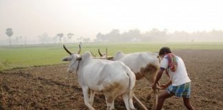 ಬಡವನ ಮಾಗಿ ಉಳುಮೆ ಸಾಹುಕಾರನ ಗೊಬ್ಬರಕ್ಕೆ ಸಮಾನ