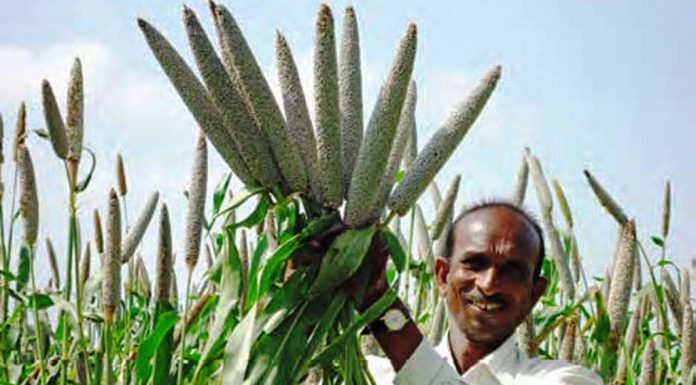 ಮಳೆಯಾಶ್ರಿತ ಬೆಳೆ; ಪ್ಲಾನ್ ಮಾಡಿದರಷ್ಟೆ ನೆಮ್ಮದಿಯ ನಾಳೆ
