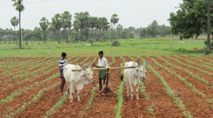 ರೈತರ ಕೃಷಿ ಚಟುವಟಿಕೆಗಳಿಗೆ ಅಡ್ಡಿಯಾಗದಂತೆ ಕ್ರಮ