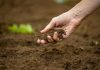 Building healthy nation through healthy soil