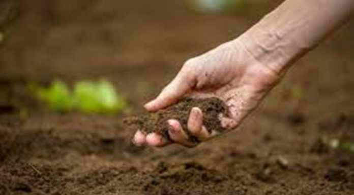 Building healthy nation through healthy soil