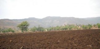 ಮಣ್ಣಿನ ರಸಸಾರ ತಿಳಿಯದೇ ಮುಂದಡಿಯಿಡಬೇಡಿ