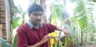 ಕೃಷಿಯಲ್ಲಿ ಆನಂದ ಕಂಡ ದಯಾನಂದ