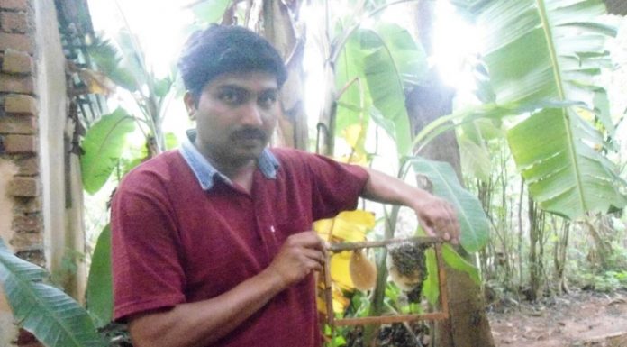 ಕೃಷಿಯಲ್ಲಿ ಆನಂದ ಕಂಡ ದಯಾನಂದ