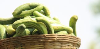 ಅಂತರಬೆಳೆಯಾಗಿ ದೇಸಿ ಸವತೆ