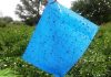 Significance of Yellow sticky traps or Sticky sheets
