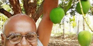 ಸಾವಯವ-ಸಹಜ ಕೃಷಿವಿಧಾನಗಳ ಬಗ್ಗೆ ಗೊಂದಲವೇಕೆ ?