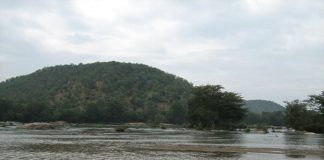 ನಾವು, ನೀರನ್ನು ಕಂಡಕಂಡಲ್ಲಿ ಕೊಲ್ಲುತ್ತಿದ್ದೇವೆ