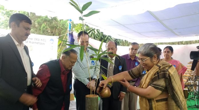 ಬಿದಿರು ವೈಭವ ಮರುಕಳಿಸಬೇಕಿದೆ