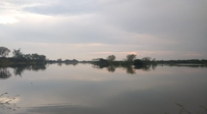 ಕೆರೆಗಳು ನಿಸರ್ಗದ ಜಲ ಪಾತ್ರೆಗಳು ; ಅಣೆಕಟ್ಟು ಕಟ್ಟುವ ಬದಲು ಕೆರೆ ಕಟ್ಟಿ