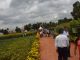 ಕೃಷಿಮೇಳ; ಅಪಾರ ಪರಿಶ್ರಮ-ಅಪೂರ್ವ ಯಶಸ್ಸು