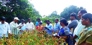 ಕೃಷಿಕರ ಬವಣೆಗಳಿಗೆ ಪರಿಹಾರ ಒದಗಿಸದ ನಿರಾಶೆ ಬಜೆಟ್