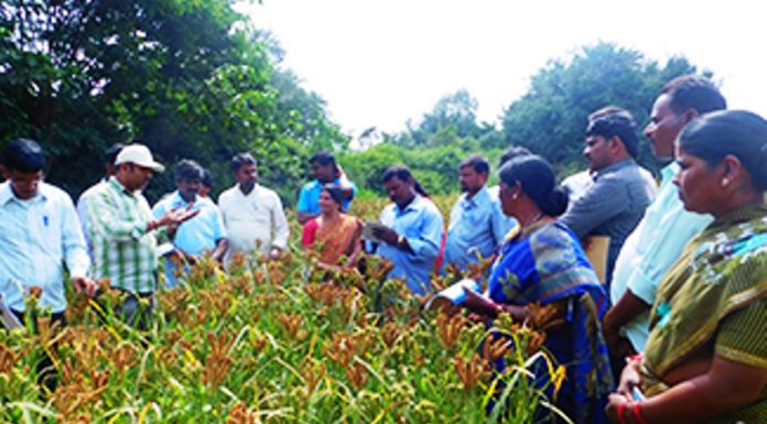 ಕೃಷಿಕರ ಬವಣೆಗಳಿಗೆ ಪರಿಹಾರ ಒದಗಿಸದ ನಿರಾಶೆ ಬಜೆಟ್