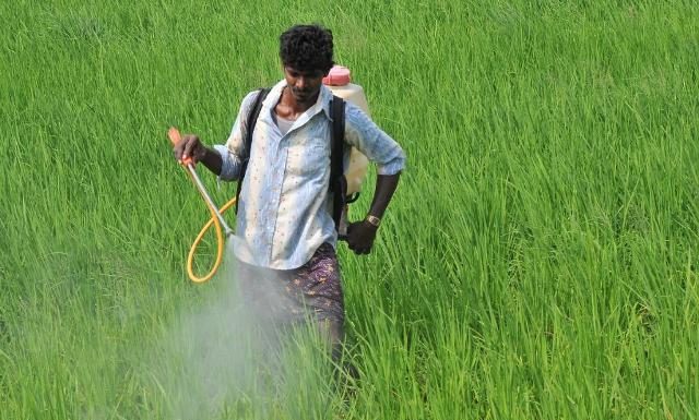 ಪರೀಕ್ಷಣಾ ಪ್ರಯೋಗಾಲಯಗಳ ಸ್ಥಾಪನೆ