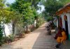 ಸೊಳ್ಳೆಗಳಿಲ್ಲದ ಊರು ಇರಲು ಸಾಧ್ಯವೇ ?