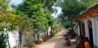 ಸೊಳ್ಳೆಗಳಿಲ್ಲದ ಊರು ಇರಲು ಸಾಧ್ಯವೇ ?