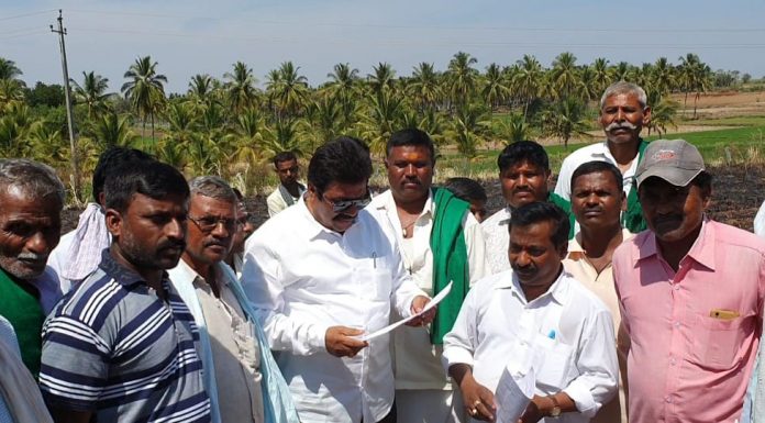 ಆತ್ಮಹತ್ಯೆ ಪರಿಹಾರವಲ್ಲ:ಕೃಷಿ ಸಚಿವ ಬಿ.ಸಿ.ಪಾಟೀಲ್