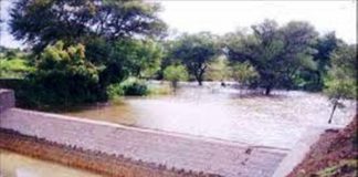 ಚೆಕ್ ಡ್ಯಾಂಗಳ ನಿರ್ಮಾಣಕ್ಕೆ ಟೆಂಡರ್ ಕರೆಯುವ ಅವಶ್ಯಕತೆಯಿಲ್ಲ : ಬಿ.ಸಿ.ಪಾಟೀಲ್