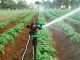 ಸೂಕ್ಷ್ಮ ನೀರಾವರಿಗೆ ಅಂತರಗಂಗೆ ನಿಗಮ