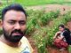 ಸಿಟಿ ಲೈಪೂ ಜೊತೆಜೊತೆಗೆ ಕೃಷಿಕಾಯಕ