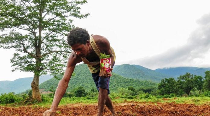 ಕಾಲಕ್ಕೆ ತಕ್ಕ ಕೃಷಿತಂತ್ರಜ್ಞಾನದ ಅಭಿವೃದ್ಧಿ ಅಗತ್ಯ
