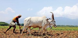 ಕೃಷಿ ಪಾಠ ಮಾಡುವ ಮತ್ತು ಕೇಳುವ ಮುನ್ನ !