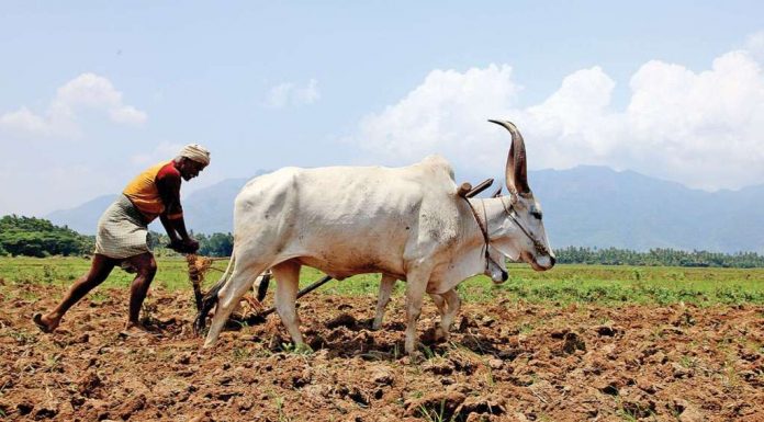 ರೈತರನ್ನು ಸಾಲದ ಚಕ್ರದಿಂದ ಪಾರು ಮಾಡುವ ಯೋಜನೆ