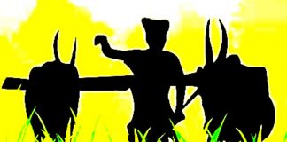 ರಾಜ್ಯ ಬಜೆಟ್ ; ಕೃಷಿ, ತೋಟಗಾರಿಕೆಗೆ ಬಲವರ್ಧನೆ