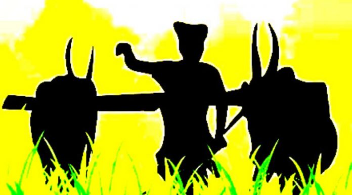 A plan to save farmers from debt cycle