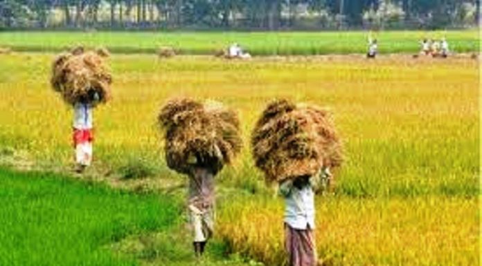 ಈ ಪದ್ಧತಿ ಇರುವ ತನಕ ಕಾವೇರಿ ವಿವಾದ ಇರುತ್ತೆ !