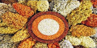 ಸಿರಿಧಾನ್ಯ ಸೇವಿಸಿ; ರೋಗನಿರೋಧಕ ಶಕ್ತಿ ವೃದ್ಧಿಸಿ