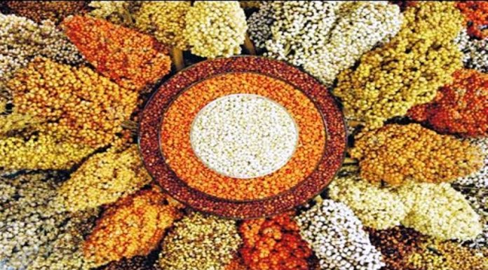 ಸಿರಿಧಾನ್ಯ ಸೇವಿಸಿ; ರೋಗನಿರೋಧಕ ಶಕ್ತಿ ವೃದ್ಧಿಸಿ
