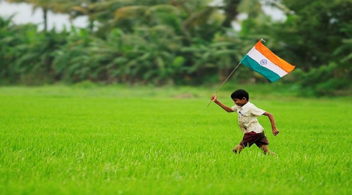 ಸಾವಯವ ಕೃಷಿಪದ್ಧತಿಯಲ್ಲಿ ಸಮೃದ್ಧ ಇಳುವರಿಗೆ ಜೈವಿಕ ಗೊಬ್ಬರ ಬಳಕೆ