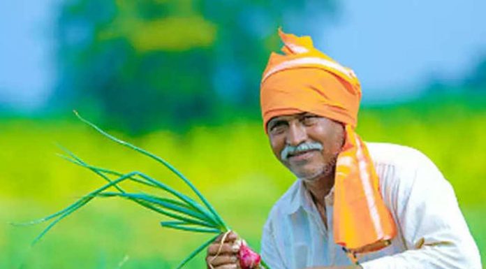 ಸದ್ಯದಲ್ಲಿಯೇ ಹಿಂಗಾರು ಬೆಳೆ ಸಮೀಕ್ಷೆಗೆ ಸಿದ್ಧತೆ