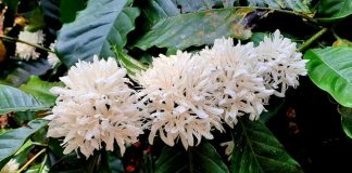 ಮತ್ತೆ ಮಳೆಯಾಗಬಹುದೆಂಬ ನಿರೀಕ್ಷೆ