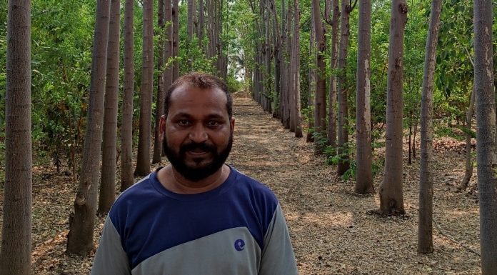 ಕಾಡಲ್ಲ ಬದಲಾಗಿ ಕಾಡು ಕೃಷಿಯ ಉಡುಗೊರೆ !