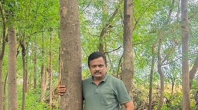 ಕಾಡಿನಂಥಾ ತೋಟದಿಂದ ಸೊಳ್ಳೆ ಹೆಚ್ಚುತ್ತದೆಯೇ ?