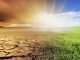 Maharashtra suffered the most deaths due to extreme weather