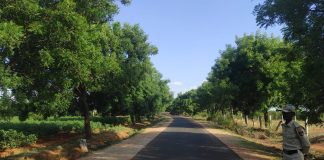 ನಿರಂತರ ಅರಣ್ಯ ನಾಶ; ಕಾದಿದೆಯೇ ವಿನಾಶ ?