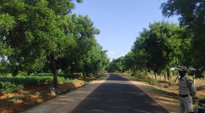 ನಿರಂತರ ಅರಣ್ಯ ನಾಶ; ಕಾದಿದೆಯೇ ವಿನಾಶ ?