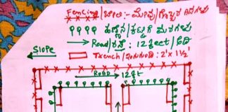 ತೋಟದ ವಿನ್ಯಾಸ ಹೇಗಿರಬೇಕು?