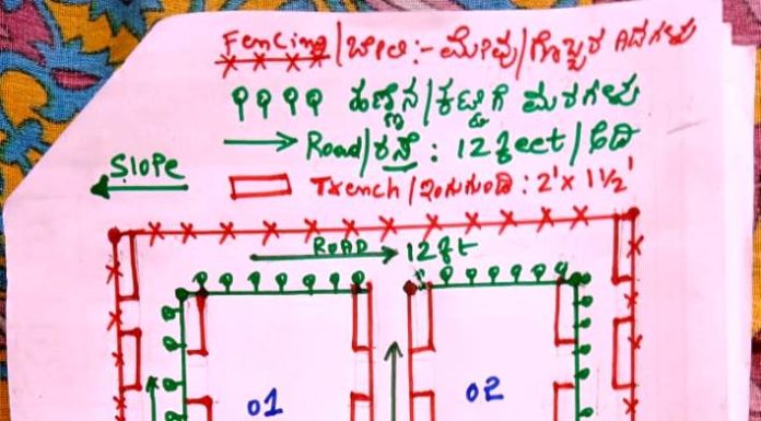 ತೋಟದ ವಿನ್ಯಾಸ ಹೇಗಿರಬೇಕು?