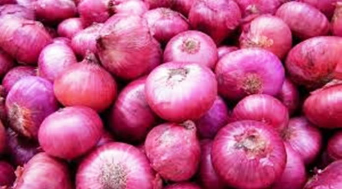 ಈರುಳ್ಳಿ ; ಉತ್ತಮ ಧಾರಣೆಗೆ ಅತ್ಯುತ್ತಮ ಮಾರ್ಗ !