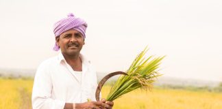 ನೈಸರ್ಗಿಕ ಕೃಷಿಗೆ ಭೂ ಪರಿವರ್ತನೆ